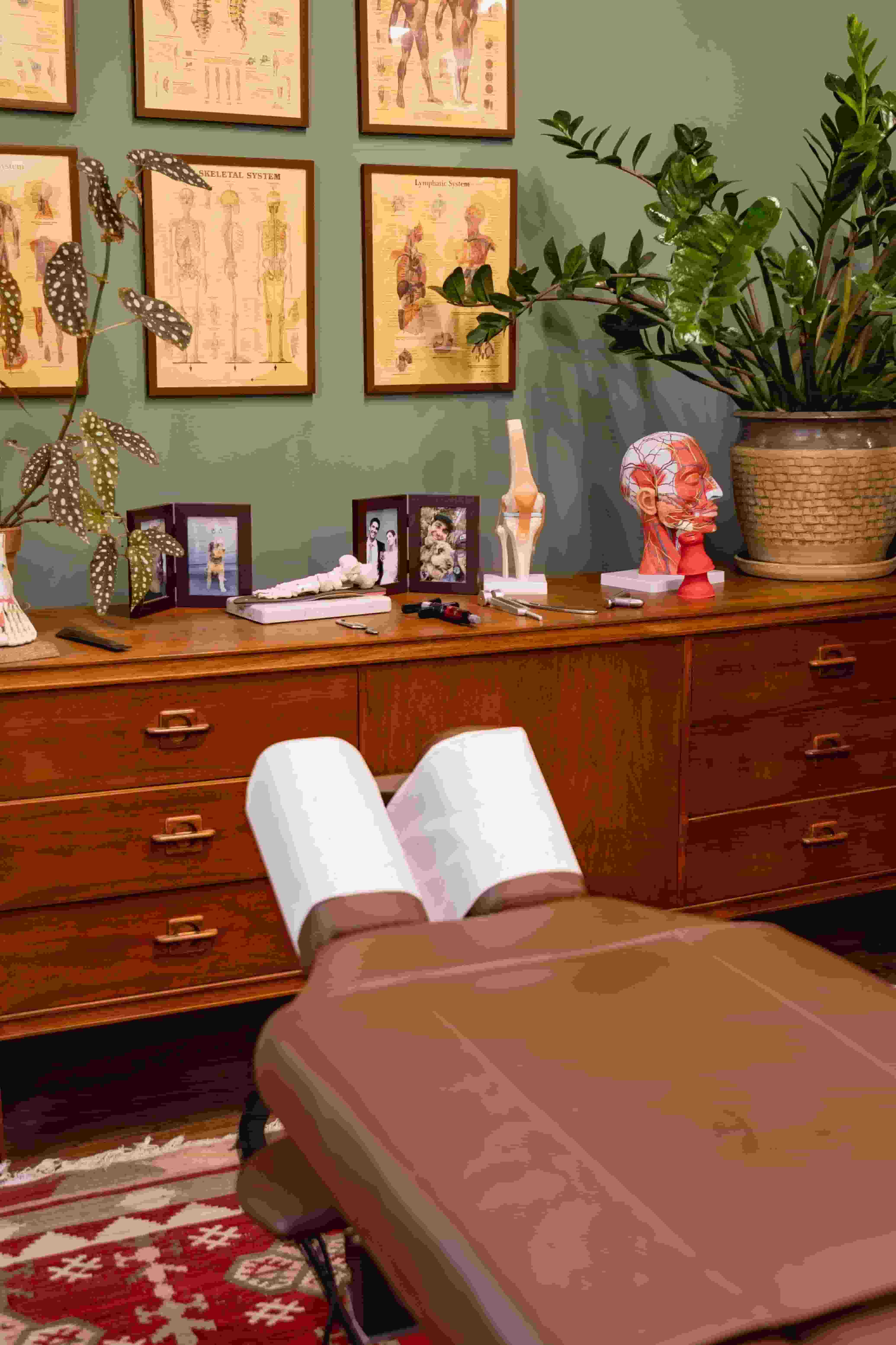 The ProActive Chiropractic treatment room at 22 Battery St. San Francisco — treatment table, kilim rug, antique anatomy posters, and anatomical models, where the Body Intelligence Assessment takes place